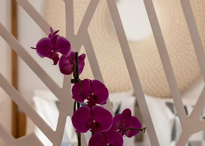 빌라 Akropolis Village Complex Of Luxury *